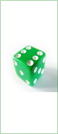 Wij bieden professionele diensten tegen een redelijke prijs!