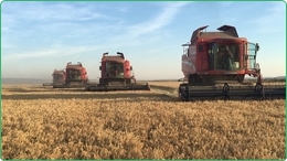 1400 Ha Geirrigeerde Boerderij Te Koop in Roemenie