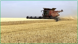 1850 Ha Boerderij Te Koop in Roemenie